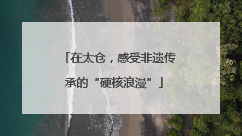 在太仓，感受非遗传承的“硬核浪漫”